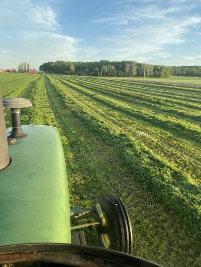 Cutting hay in a field on the farm with the barn and silos in the background