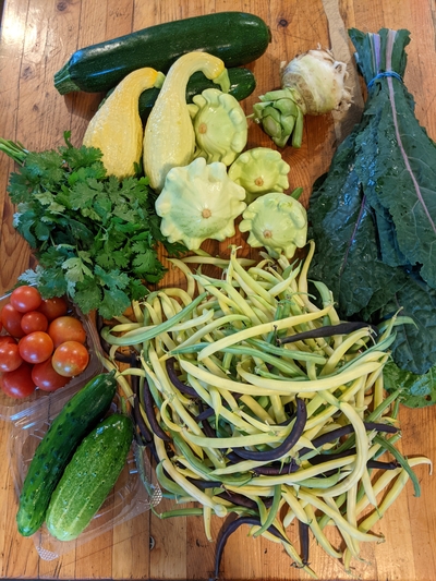 CSA share with cucumbers, beans and other vegetables grown in Bloomer, WI
